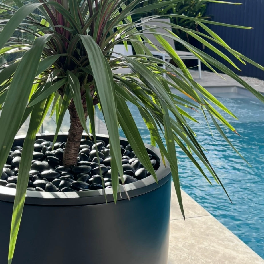 Cylinder Pot • Black