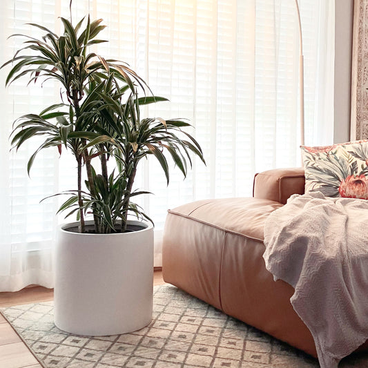 Cylinder Pot • White