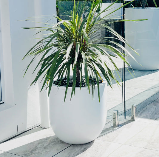 Classic U-Pot • White