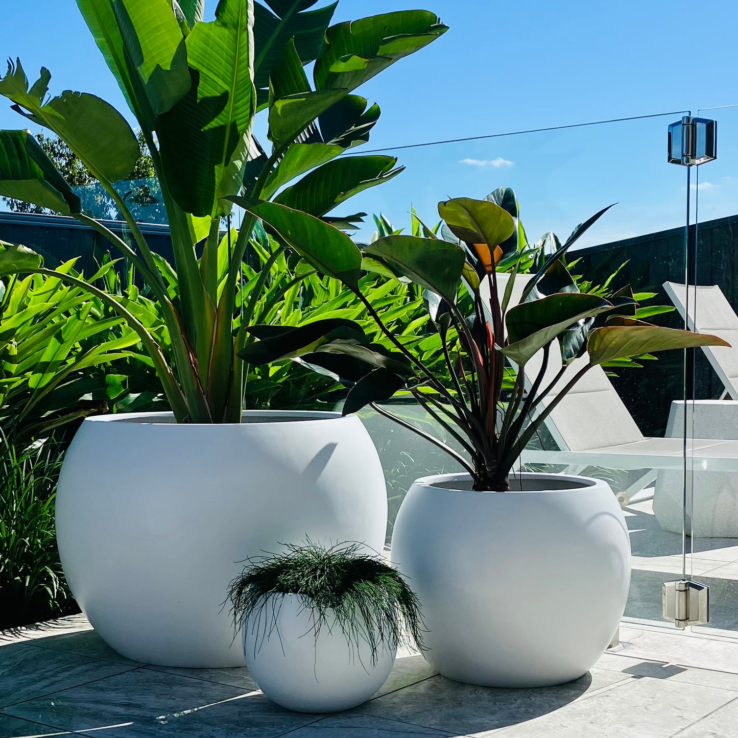 Buddha Pot • White