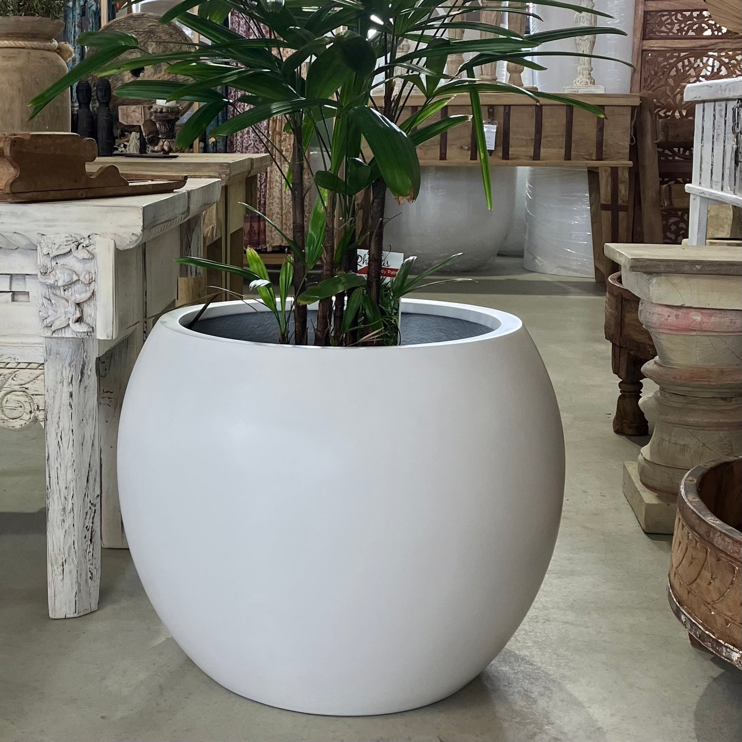 Buddha Pot • White