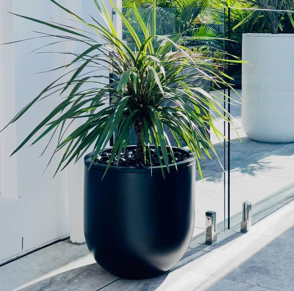 Classic U-Pot • Black