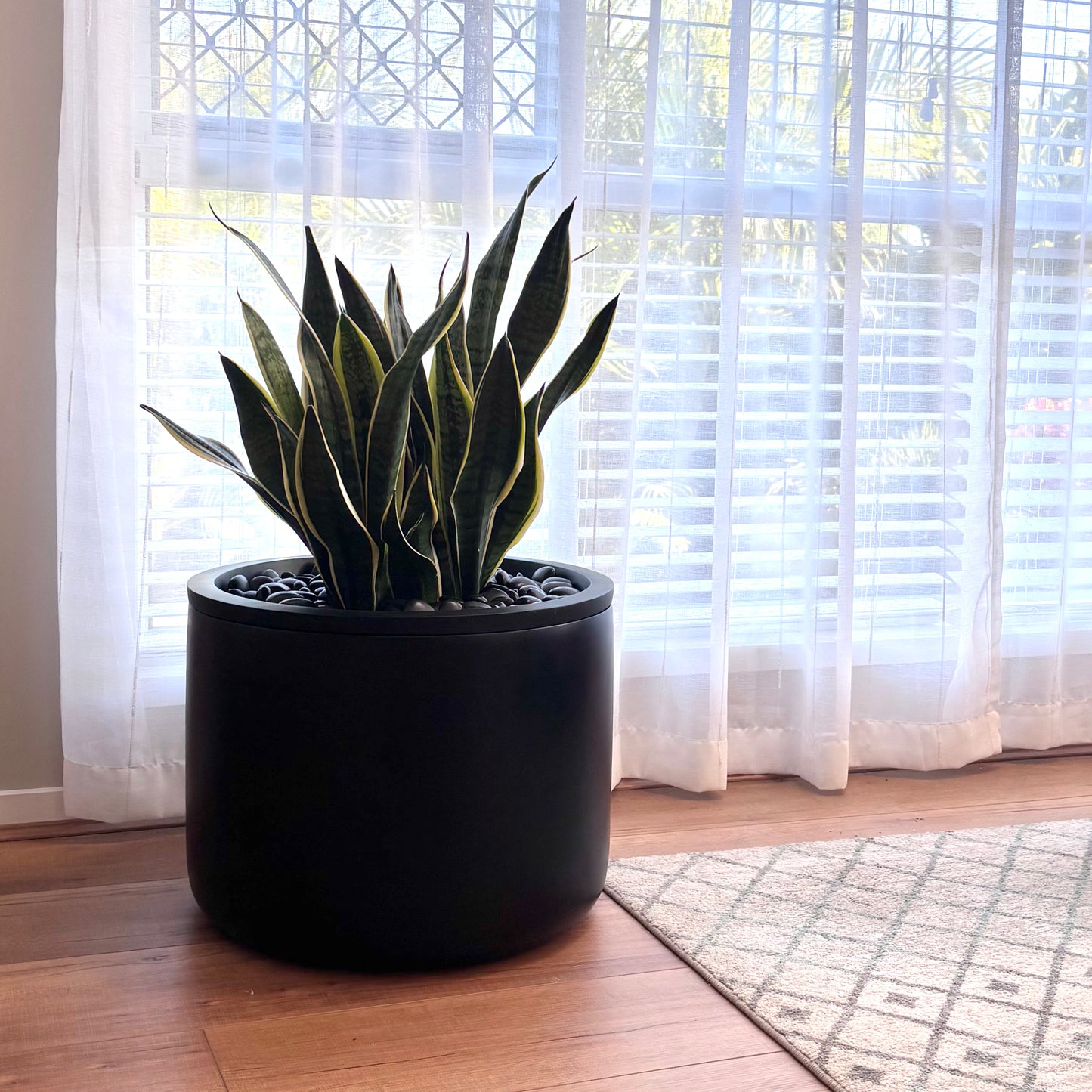 Squat Pot • Black